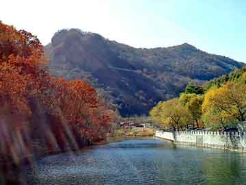 澳门天天免费精准大全，三氧化钼价格